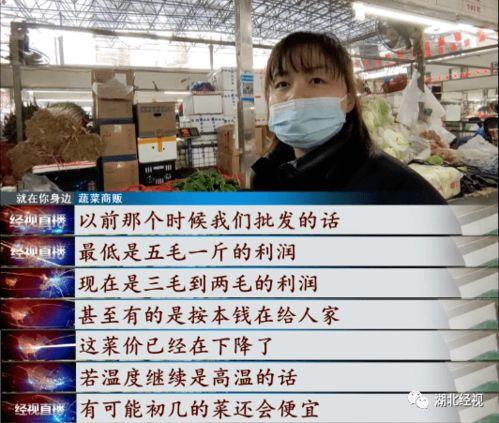 武汉菜价爆料视频大全集,揭秘菜市场价格波动背后的秘密  第2张